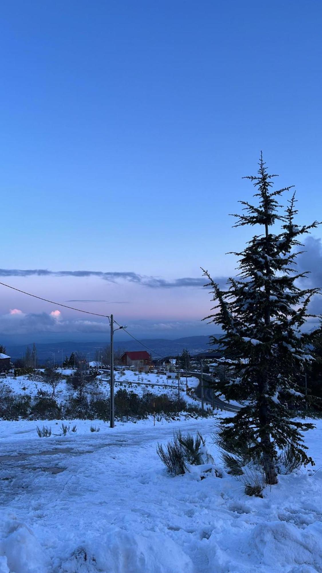 Casa Dos Pinheiros - Serra Da Estrela Penhas da Saúde Buitenkant foto
